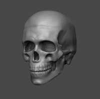 482x481