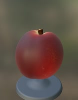 800x1024