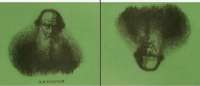 900x387