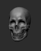 500x621