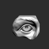 535x536