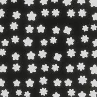 800x800