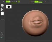 1239x1010