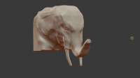 960x540