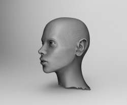 800x661