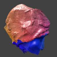 1200x1200