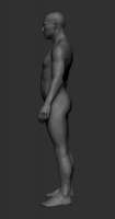 408x775