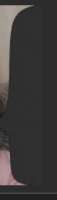 110x381