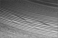 800x534
