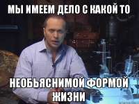 600x450