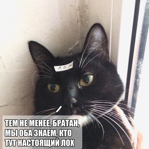 604x604