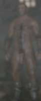 933x2279