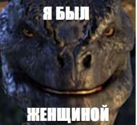 430x393