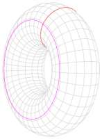 229x311
