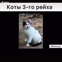 576x576