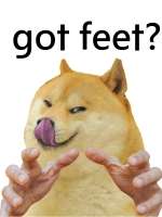 750x1000