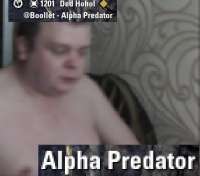 428x377