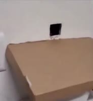 410x444