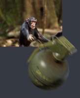 421x515
