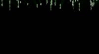 720x395