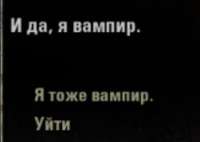 1080x768