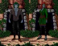 596x480