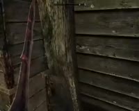 450x360