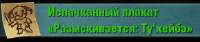 290x61
