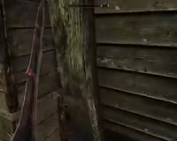 450x360