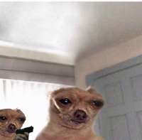 667x659