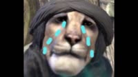 640x360