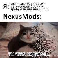 520x520