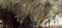 574x265