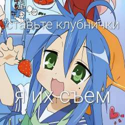 736x736