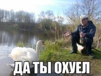 94