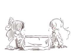 955x704