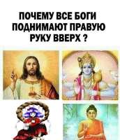 520x604