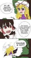 500x904
