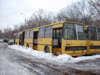 604x453