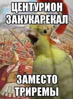 360x489