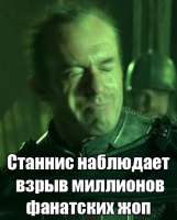 428x531
