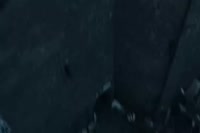 540x360
