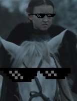 276x360