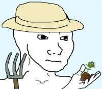 426x376
