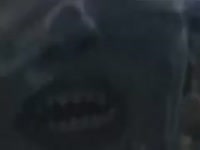 480x360