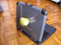 650x486