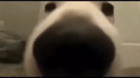 640x360