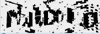 238x81