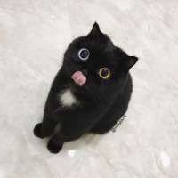 1080x1080
