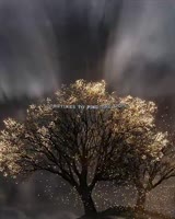 720x900